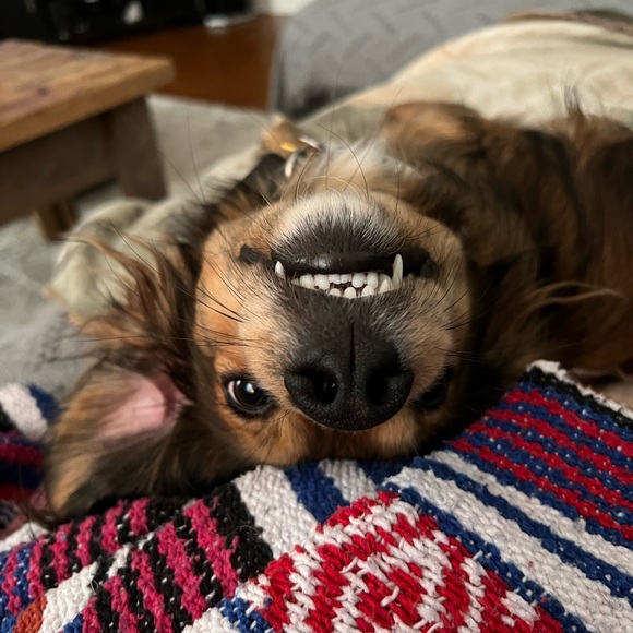 Meet your Posher, Jana - Picture 3 of 4